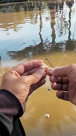 171K views · 1.1K reactions | Neptune Pancing on Reels | Facebook