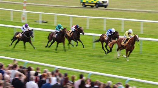 Rest of Haydock review and free video replays