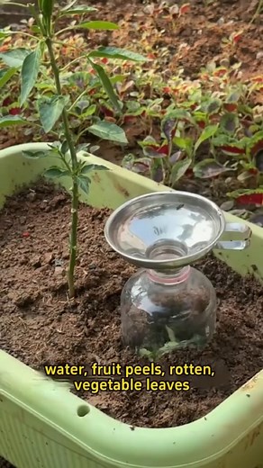 13K views · 155 reactions | To make a homemade compost jar for your household. #garden #gardening #gardentok #gardentips #gardening101 #gardeninghacks #gardeningtips #plant #plants #planting #plantlover #planttips #planttiktok #planttok #farm #farmlife #farmer #farmtok #agriculture | Morgan Venn | Facebook