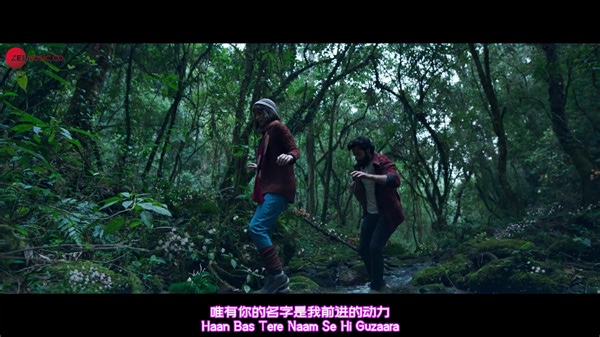 印度电影插曲 中文字幕 Apna Bana Le 让我属于你吧-出自电影Bhediya_哔哩哔哩_bilibili