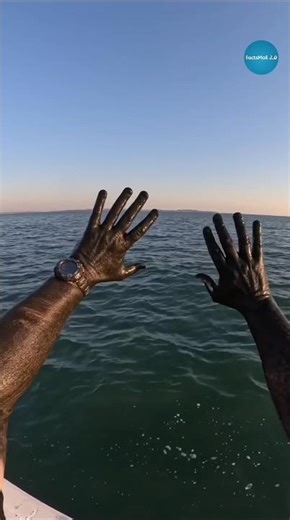 Never Make This Mistake While Catching Squid Fish #shorts #ytshorts