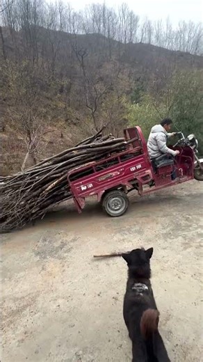The Secret to Fast Firewood Unloading! #shorts