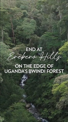 Join The Asilia Edit: The Primate Edition | Asilia Africa