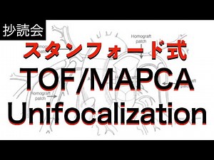 【ファロー四徴症】スタンフォード式TOF/MAPCAを超分かりやすく解説！！！