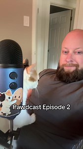 We covered a lot of ground today! 😸😁 Sticker by @sneakyburrito #cats #catsoftiktok #podcast
