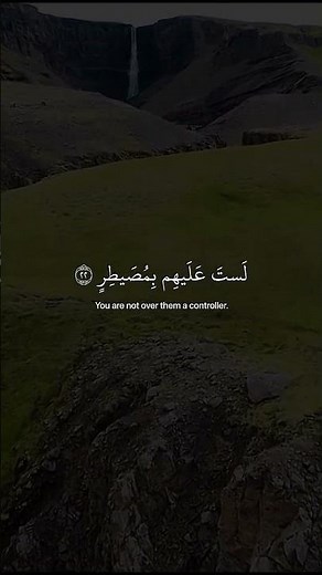 تلاوة جميلة جداً تريح القلب بصوت القارئ عبد الرحمن مسعد ❤️😴 || افلا ينظرون الى الابل كيف خلقت