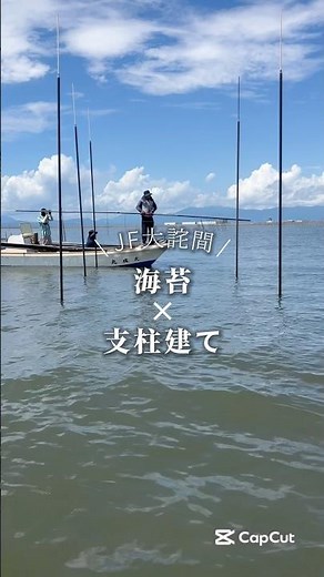 『支柱建て』海苔養殖 佐賀 有明海 令和7年