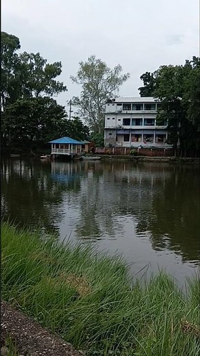 Amazing nature 4K video Relaxation !! Nature 4K video #4knature #zubeengarg #natureshots #shorts