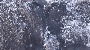Snow-covered Bison Standing in the Winter Snow during heavy snowfall. 4k cinematic super slow motion footage