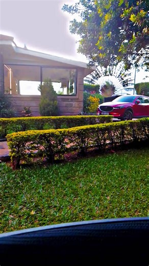 Clement Joel KE (@clementjoelke)’s videos with original sound - GRANTON🌟