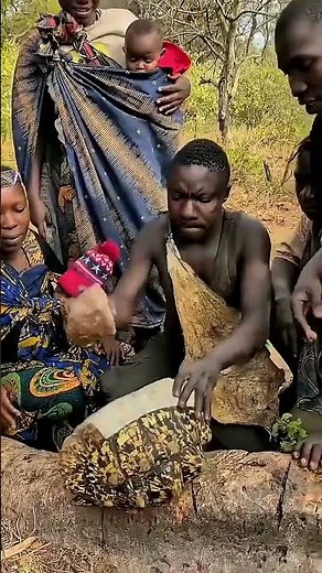 Traditional Village Cooking with a Giant Turtle Shell#TraditionalLife #VillageLife #AfricanCulture