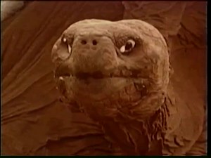 Predators of the Wild Volume 3: Killer Whale (1992, 1993 VHS)