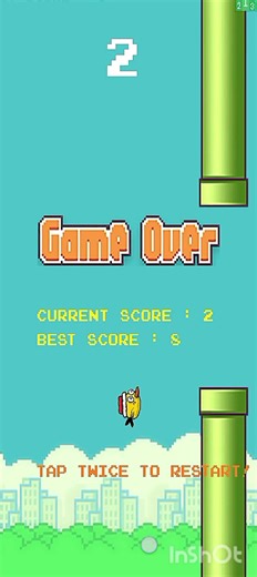 Flappy Bird Huge Gameplay 😁