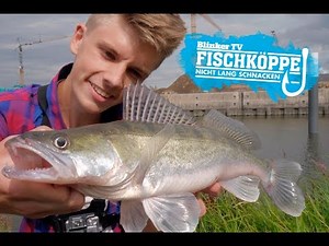 Fischköppe | Zanderangeln im Hamburger Hafen [HD]