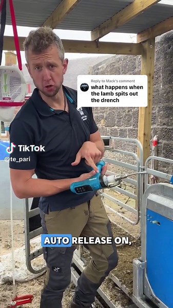 The Sheep Game Explained - Farm Life Fun