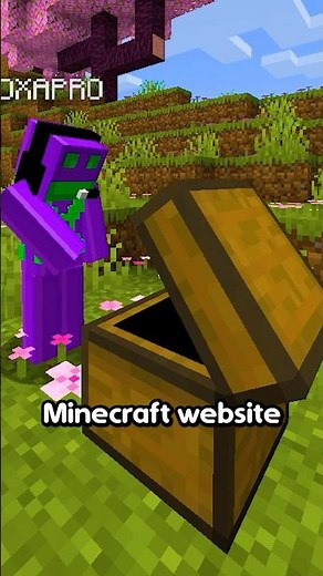 CRAZIEST Minecraft Website #minecraft #minecraftmods