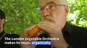 London Vegetable Orchestra thrives after King Charles III jam The orchestra performs at the RHS Hampton Court Palace Garden Festival, surprising bystanders with instruments carved from vegetables and fruit. Their success follows a jam session with King Charles III in Buckingham Palace in April, a video of which went viral online, where the King participated with a carrot recorder. | AFP News Agency