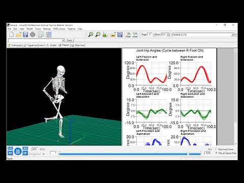 Visual3D（3次元骨格解析ソフトウェア）パイプライン処理