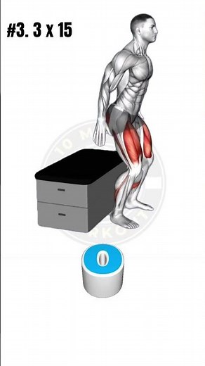 5 Exercises Every Senior Should Do Daily