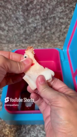 Packing school lunch with Elf on a Shelf surprise