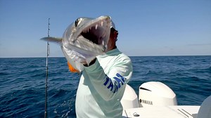 More powerful than ever 🌊 XTO power now available on the Regulator 31 & 34 | Regulator Marine