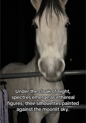 hörse #horses #spooky #night #farmlife