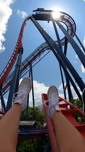 5.2M views · 100K reactions | The only way to splash away the Sunday scaries is on SheiKra.  | Busch Gardens Tampa Bay | Facebook
