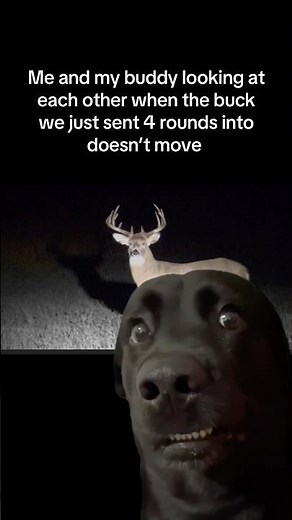 #deerhunting #hunting #funny #memes
