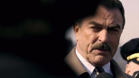 Blue Bloods (TV Series 2010–2024)