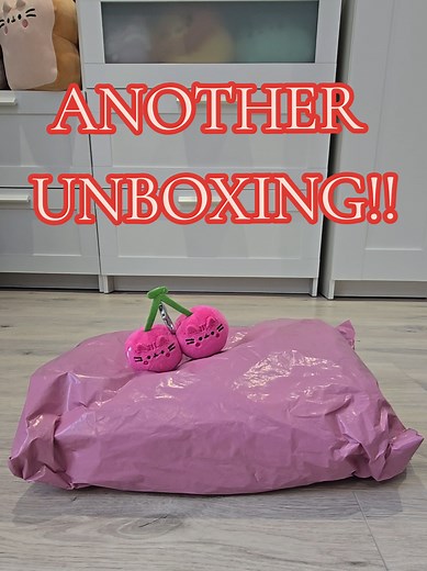 Guess the Pusheen Characters in This Fun Unboxing!