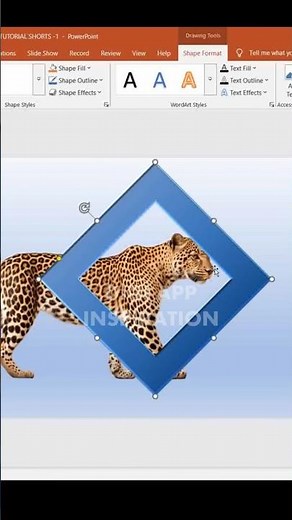 How to Make a PowerPoint Presentation Interesting (Animation Process)