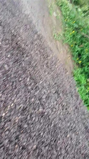 Palm kernel shell now in high demands.. Welcome to Ikot Mfon Etinan | Emmanuel Ime Attat