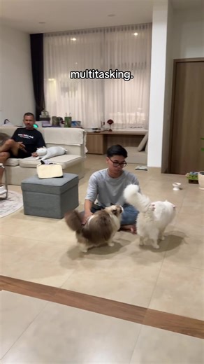 bus damri lagi brenti di rest area isi bensin