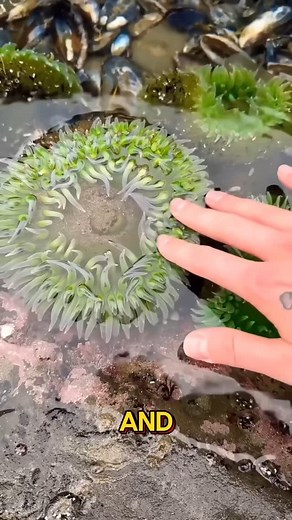 NEOTONICS | The doctor will never tell you the secret of this medicine. . . #Skincare #healthtips #healthylifestyle #healthrelated #knowledge... | Instagram