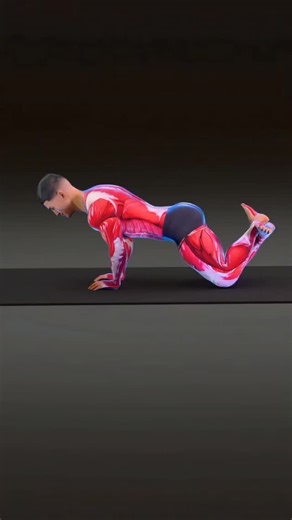 MaxMuscleX on Instagram: "Most back pain isn’t about weakness, it’s about lost movement. This controlled spinal extension unloads pressure, restores mobility, and helps the spine recover from hours of sitting. Move slow, breathe deep, and let your back work the way it was designed to. #synermuscle #backpainrelief #spine #..."