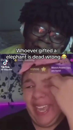 who tf gifted an elephant💀