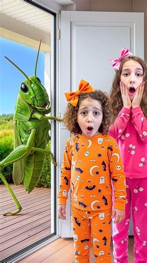 Don’t Panic Around Insects | Kids Learn Safety