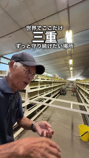 エスカルゴ牧場で楽しむ三重県の隠れた魅力