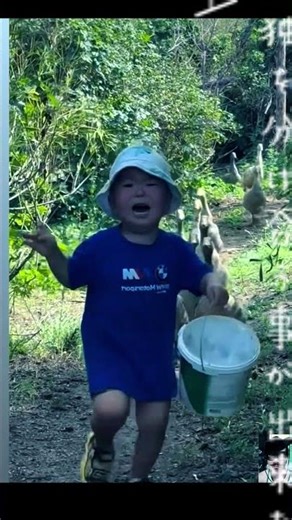 "It’s a fun day, a happy day!" 😄 #funny #hilarious