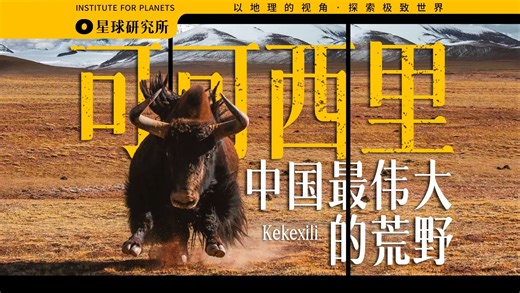 这里不属于人类！传说中的可可西里，究竟是什么样？【4K】