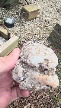 Rock Box Shopping #rockhounding #rocks #rocktumbling