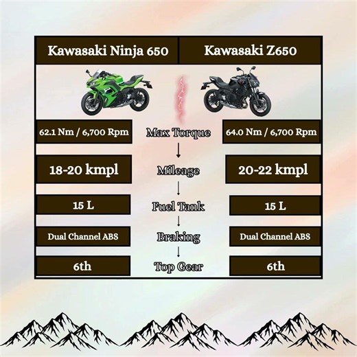 Kawasaki Ninja 650 vs Kawasaki Z650 Quick Comparison