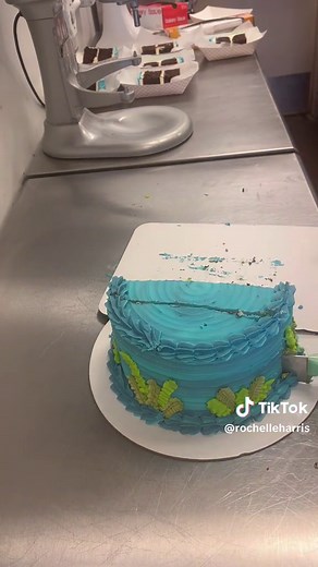 Properly Cut Round Cake Tutorial