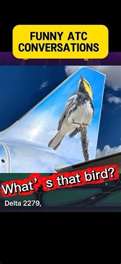 ATC Conversations: That Bird on the Plane Tail Just Confused the Whole ATC #liveatc #pilot