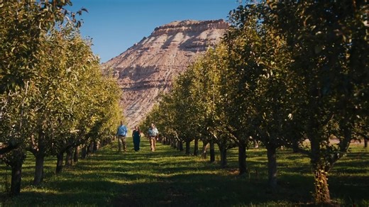 🍐 Palisade, CO grows more than just peaches they grow pears too! Honey Rock Landing is a local farm dedicated to sustainable practices. They provide organic, regenerative pears to the schools in District 51. This means that not only do our schools receive delicious, fresh fruit, but they also benefit from the health and environmental advantages of organic farming. By choosing these tasty pears, students enjoy a nutritious snack while supporting local agriculture and sustainable practices. It's 