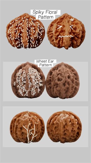 One minute small lecture for 6 different wenwan patterns #walnut