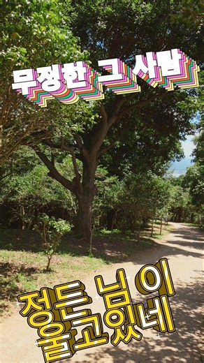 그때 그 시절 추억의 가요'무정한 그사람' 주현미 #7080추억의근대사 #트로트