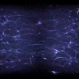 我们宇宙时空结构