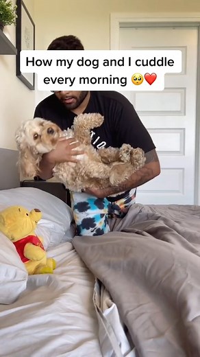 Cuddle your dog 🥰 #doglove #cutedog #cockapoo #dogs #dogtraining #dogs #doglover #puppies #dogtrainer #puppylove #foryou #fyppp #SayQuayNotKway #LoveMeMode #hello #loveu #dogs #pitbull #mastiff #talkingdog | GHL