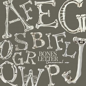Bones Alphabet Png 2 Pack, Bones Font, Bones Letter Png, Bones Clipart Font, Bones Alphabet Clipart , Clipart Font, Skeleton Font,52fonts - Etsy